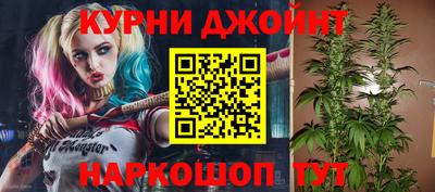 стафф Вязьма