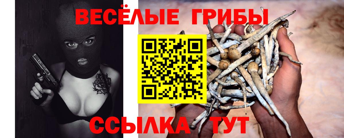 Псилоцибиновые грибы мицелий Вольск
